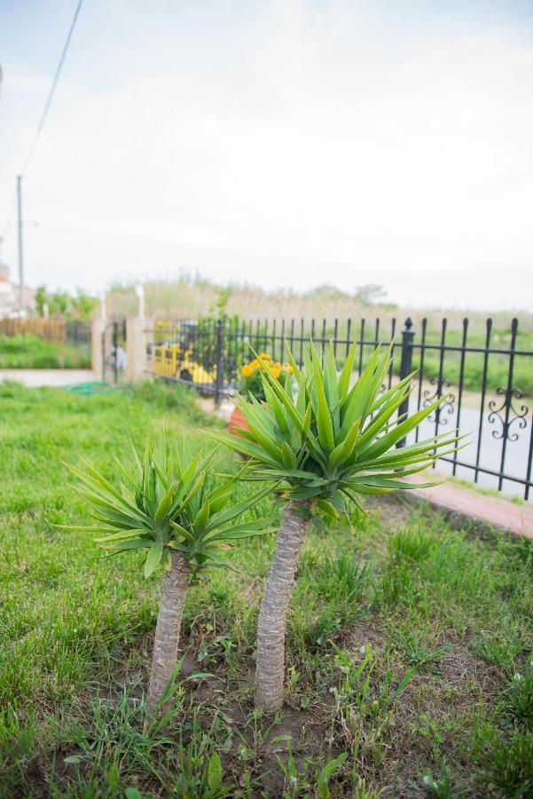 Garden Suite Néa Péramos Extérieur photo
